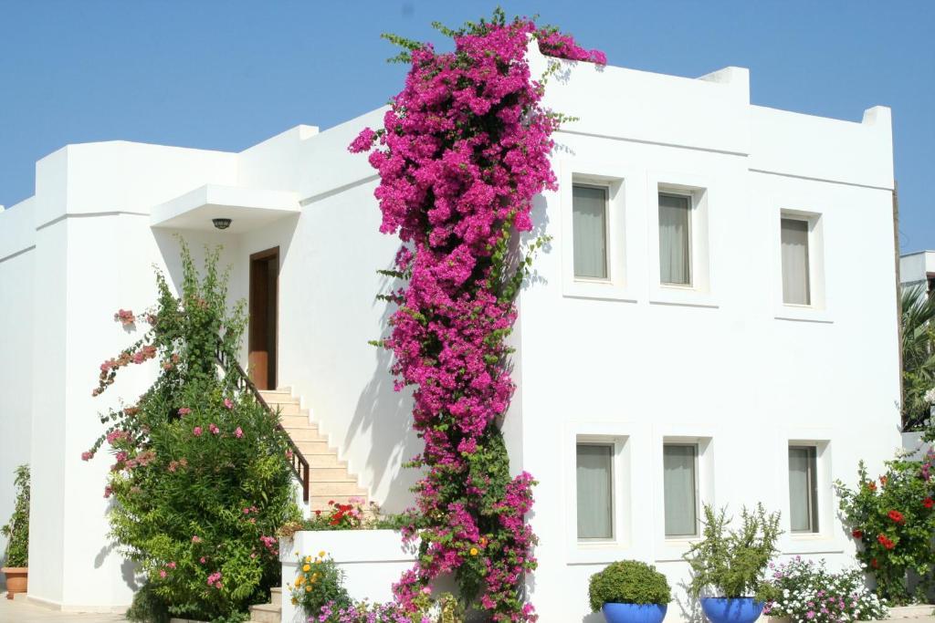 Seckin Konaklar Bodrum Kültér fotó